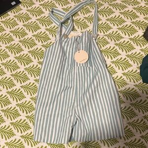 Blue and White Striped Overalls